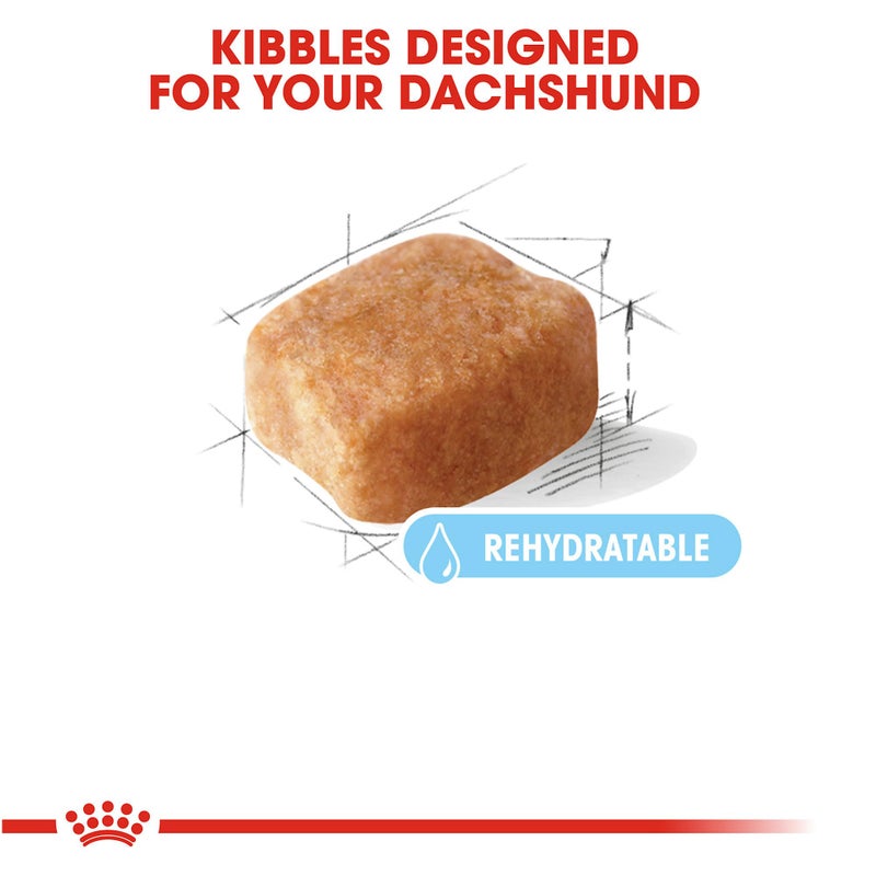 Royal Canin Breed Health Nutrition Dachshund 8+ Senior Dry Dog Food, 3 lb Bag - Image 2